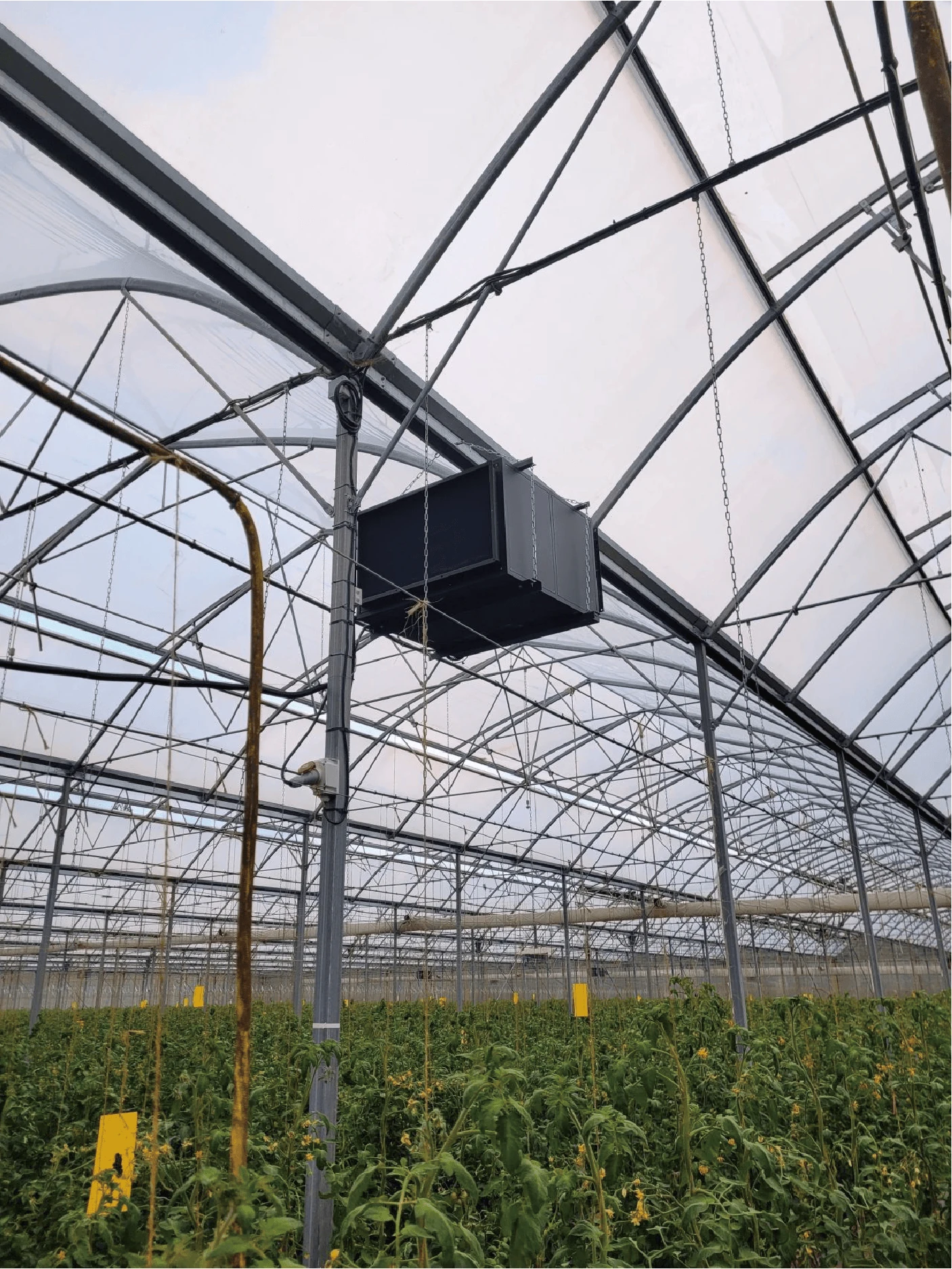 Suspended equipment above greenhouse crop rows